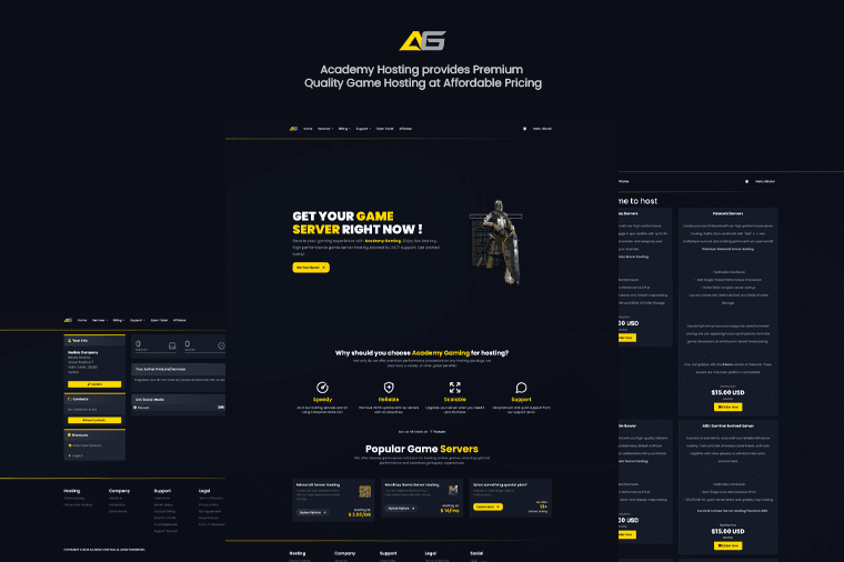 Academy Hosting